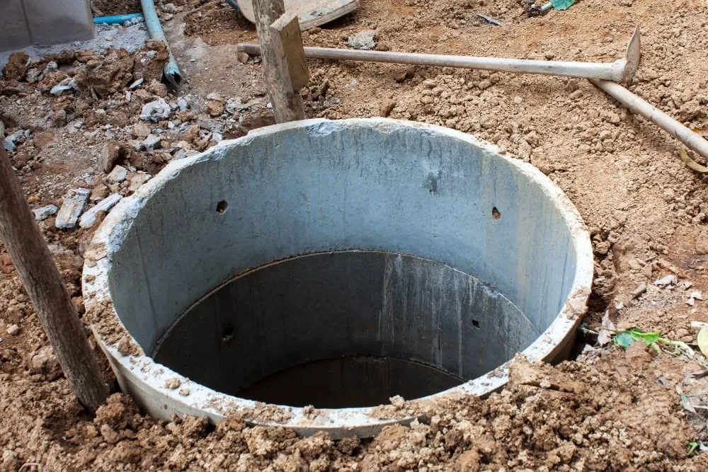Can Mosquitoes Breed in Septic Systems