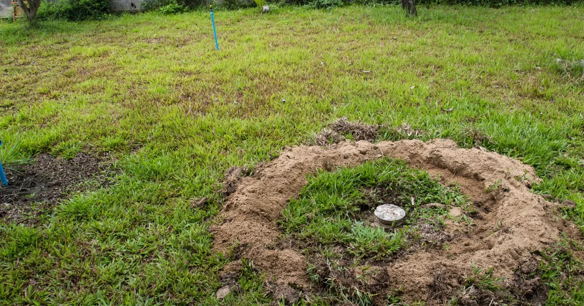 Choosing the Right Septic System for Your Needs
