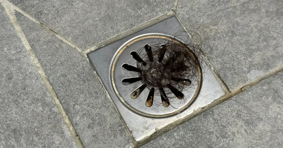 Common Causes of Blocked Drains