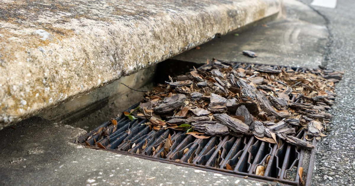 Common Causes of Blocked Drains