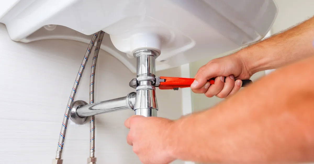 How Professional Drain Services Can Help