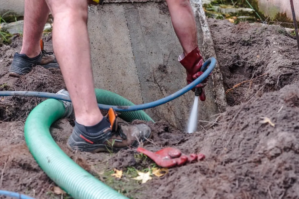How to Prevent Mosquitoes from Breeding in Septic Systems