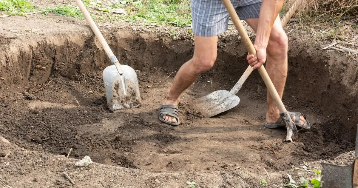 longevity and efficiency of your septic system