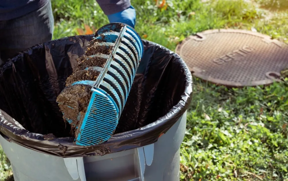 dirt collected from the septic system