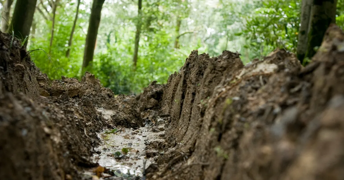 Precision Septic Trench Installation for Optimal Central Coast Living