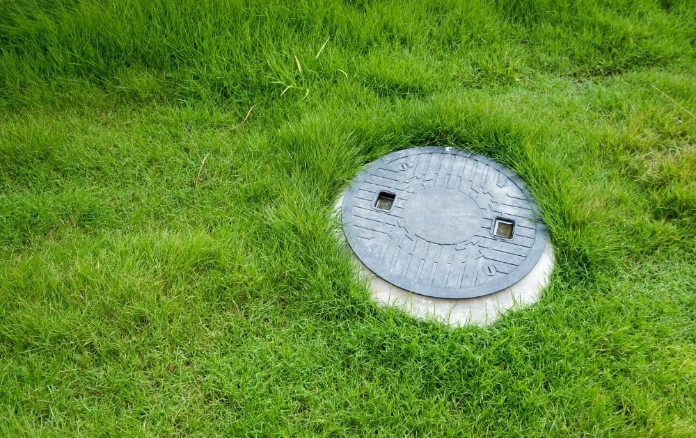 septic system and grass around it