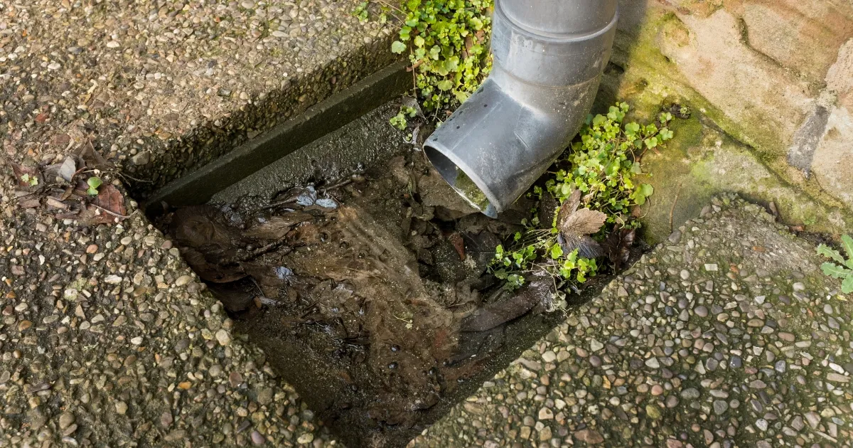 Swift Solutions for Blocked Drains Central Coasts Trusted Experts