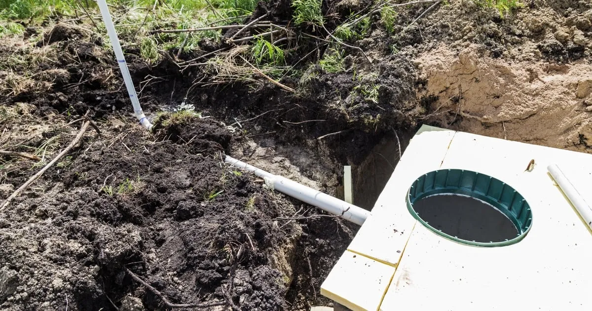 Septic tank and pipe for absorption trench