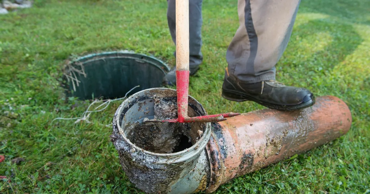 Understanding the Septic Trenches